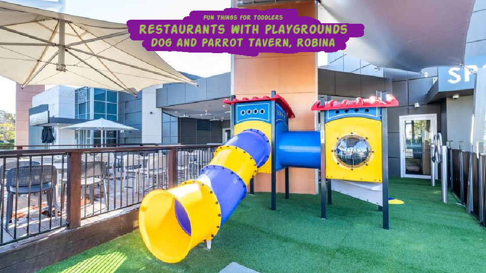 Restaurants-with-Playgrounds-Dog-and-Parrot-Robina