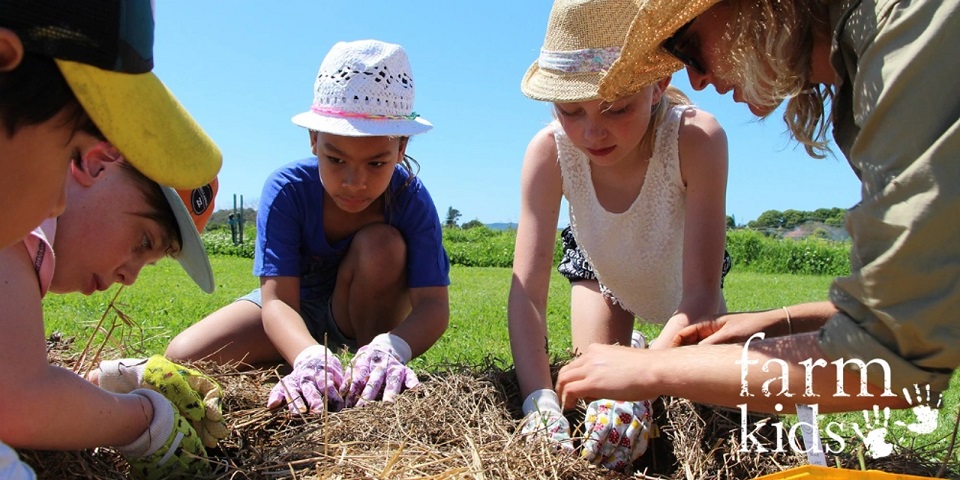 The-Farm-at-Byron-Bay-Holiday-Workshops-3