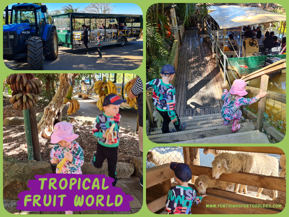 Tropical Fruit World Family Fun