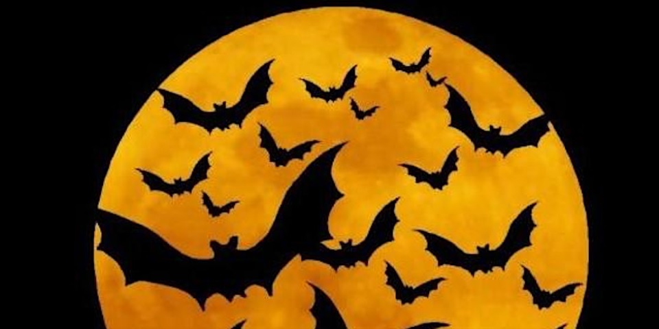 Batty-Halloween-in-the-Park