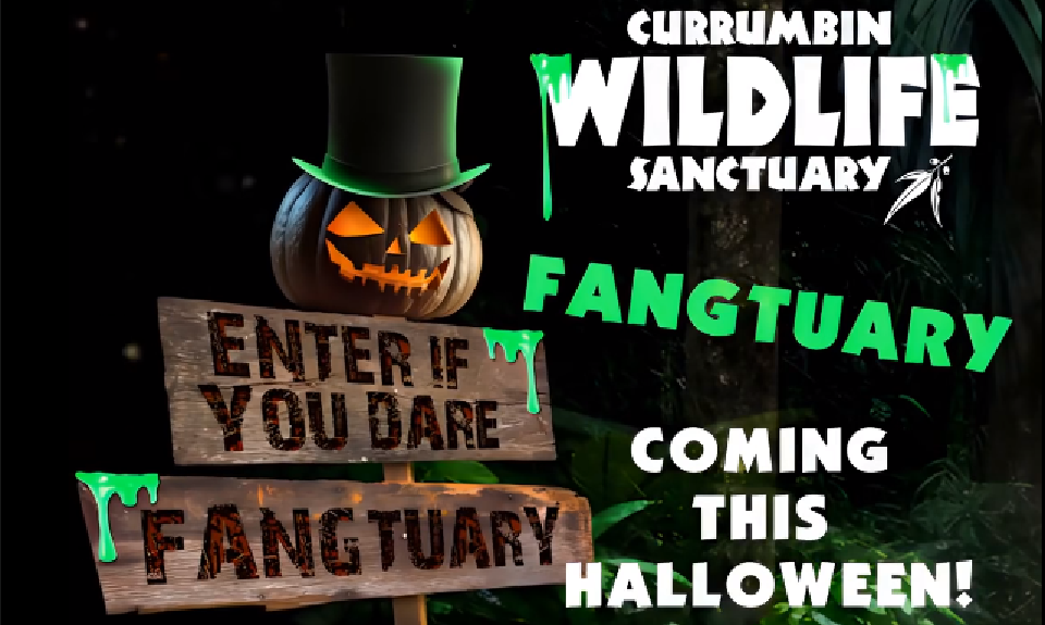 Fangtuary-Currumbin-Wildlife-Sanctuary