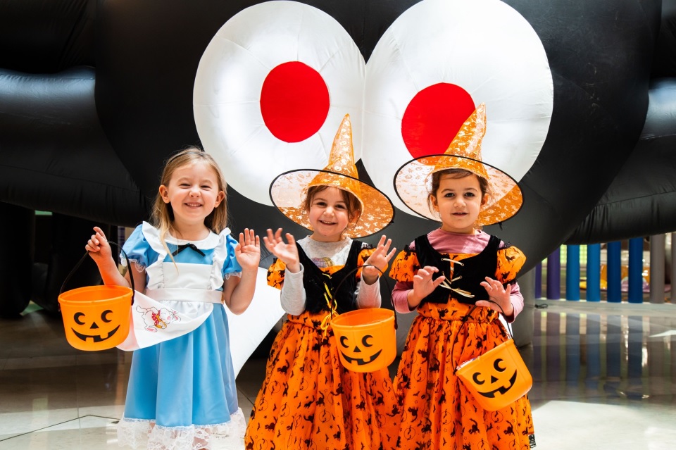 Little-Paccas-Trick-or-Treat