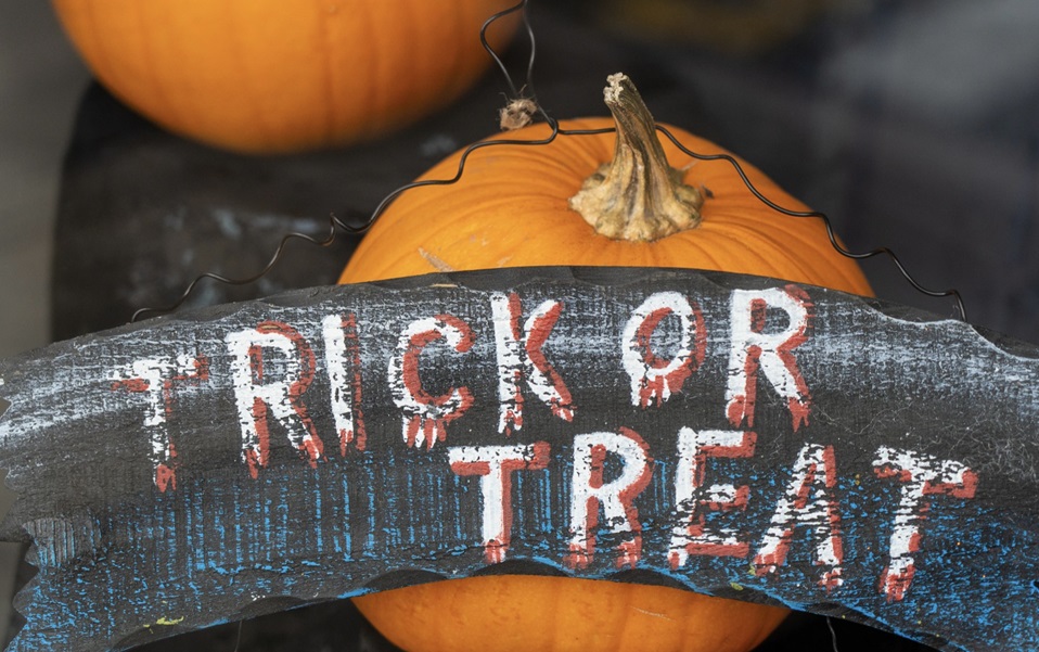 Trick-or-Treating-The-Pines-Elanora